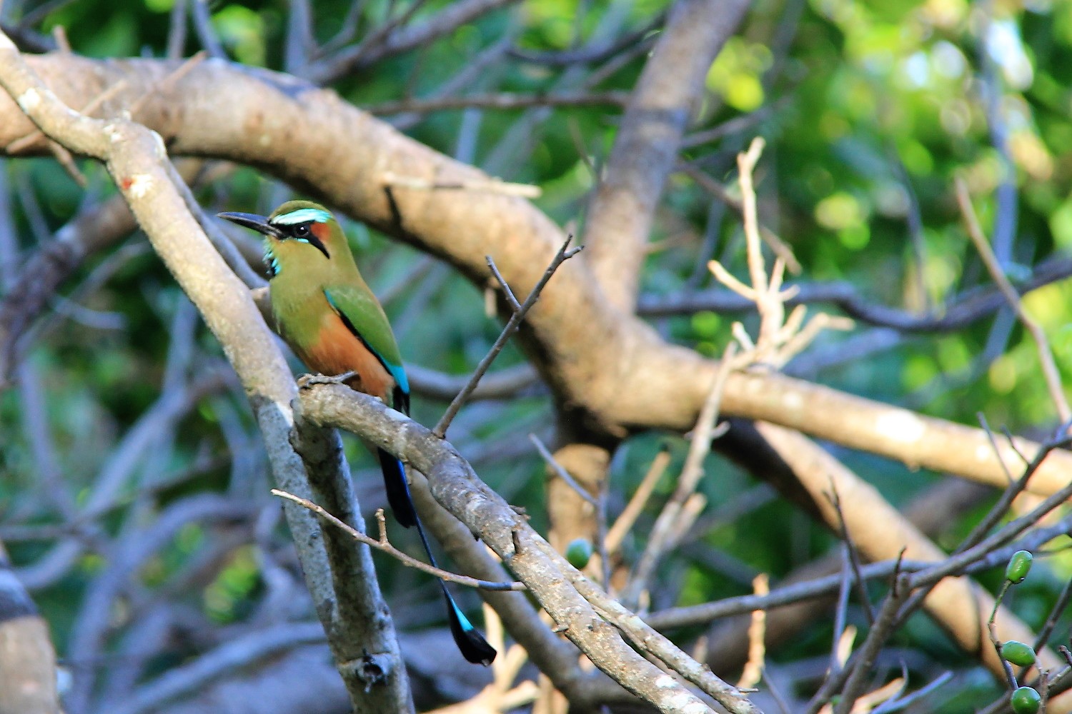Costa Rica